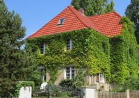 Immobilien verkaufen | Eifelkreis Bitburg-Pr&uuml;m | Bitburg | Trier | Wolsfeld